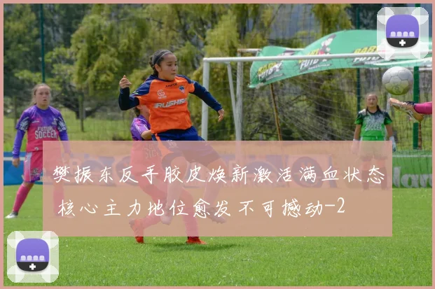 樊振东反手胶皮焕新激活满血状态 核心主力地位愈发不可撼动