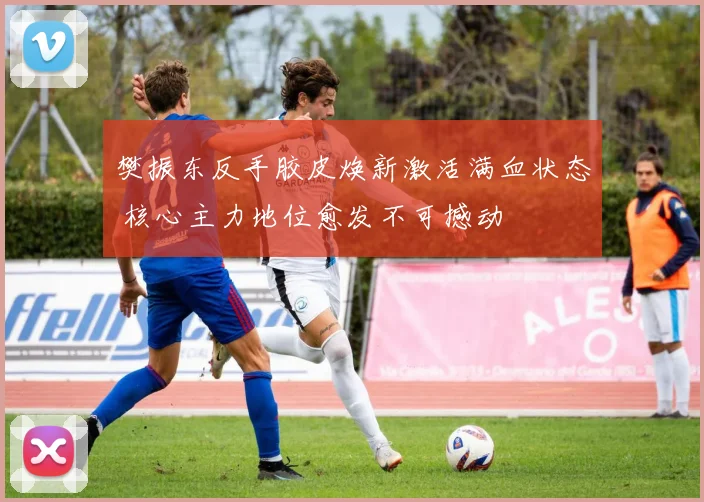 樊振东反手胶皮焕新激活满血状态 核心主力地位愈发不可撼动